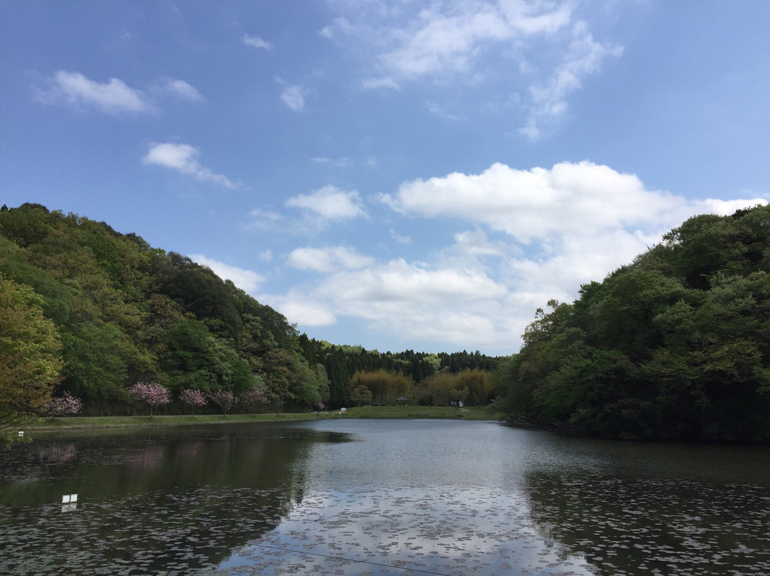 Showa no Mori Park-千叶市必去景点