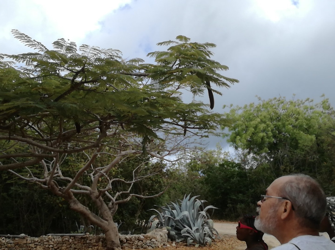 Anguilla National Trust-The Valley必去景点