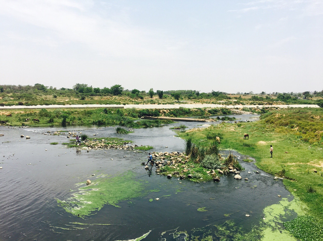 Kelevarapalli Dam-Hosur必去景点