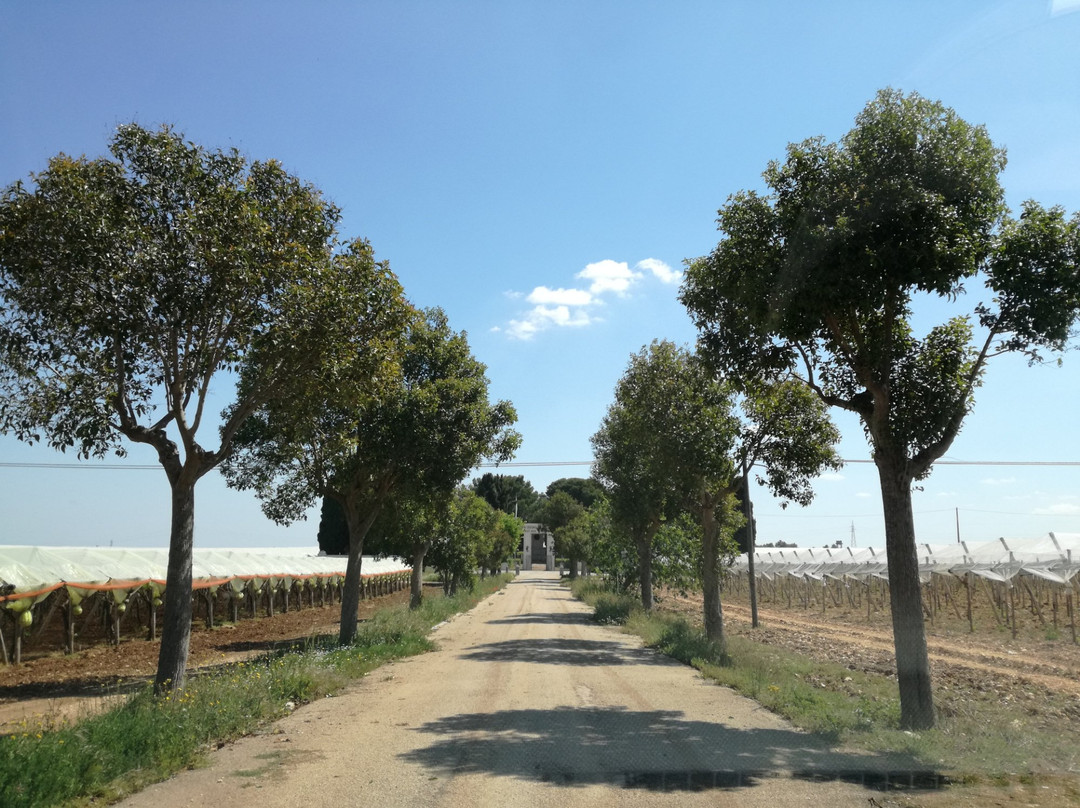 卡萨马西马旅游攻略图片