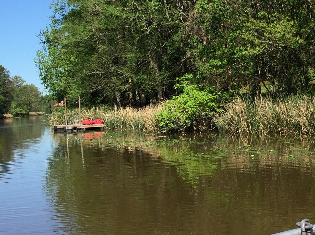 Cane River Boat Tours景点图片