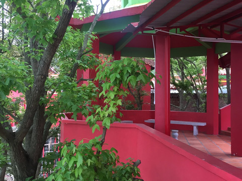 饶平榕洽生态园-饶平县必去景点