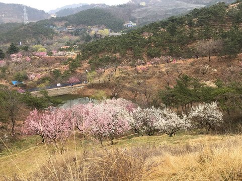 十梅庵公园-青岛市必去景点