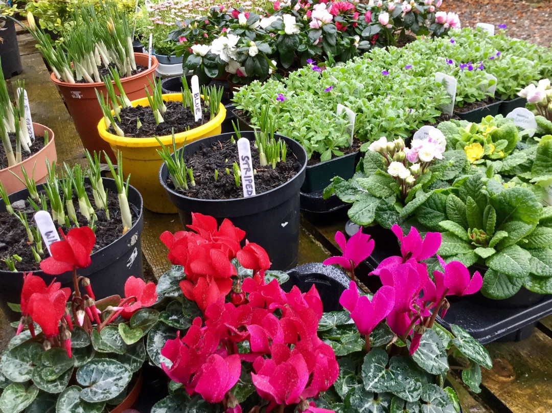 St. Fillans旅游景点-Riverside Garden Centre & Art Gallery