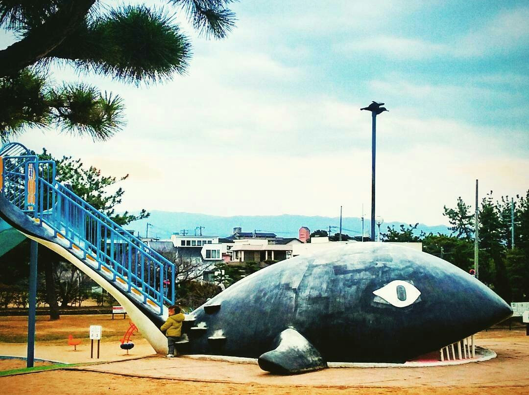 Nishikinohama Beach Park-贝冢市必去景点