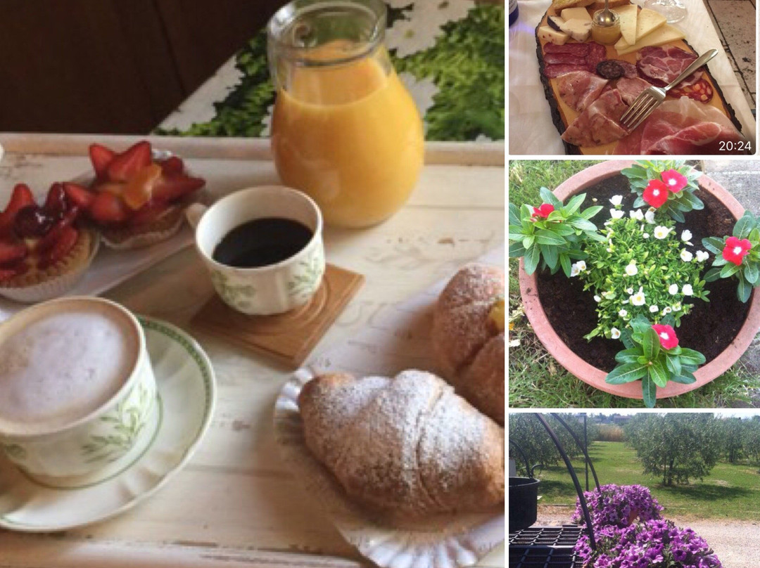 Budino酒店住宿-Le Ghiande Bed & Breakfast