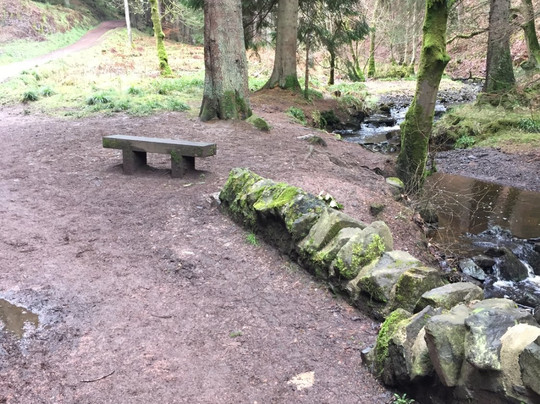 Blairadam Forest-Kelty必去景点