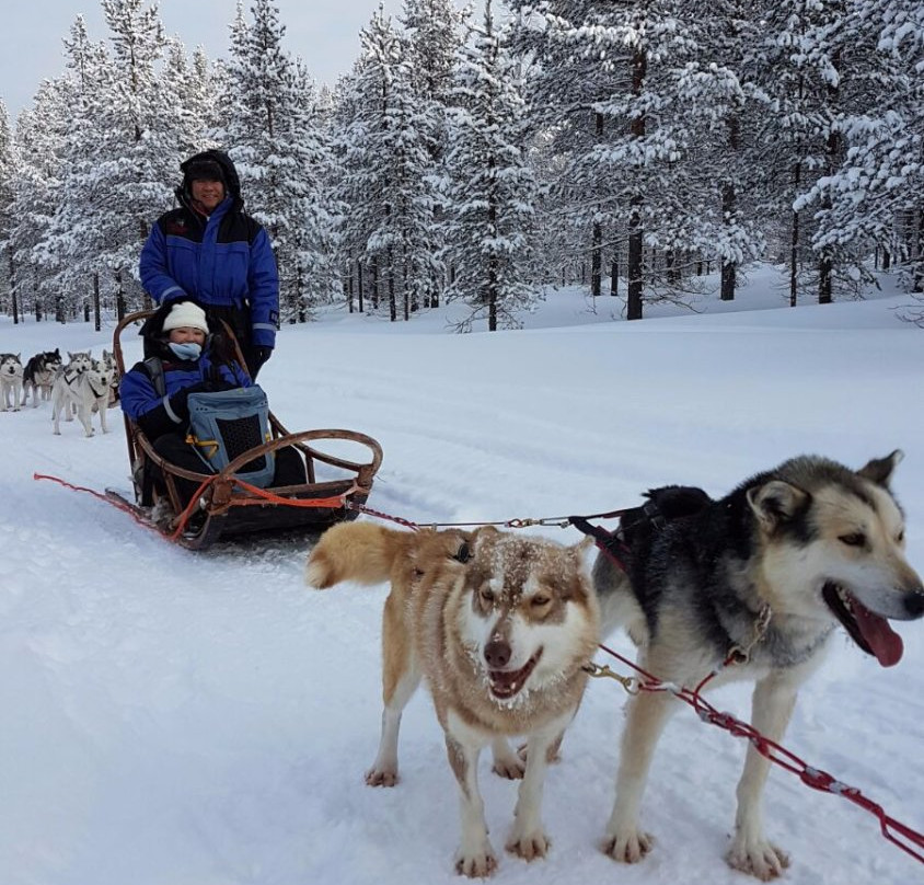 Kamisak Husky and Horse Expeditions - Day Tours-伊瓦洛必去景点