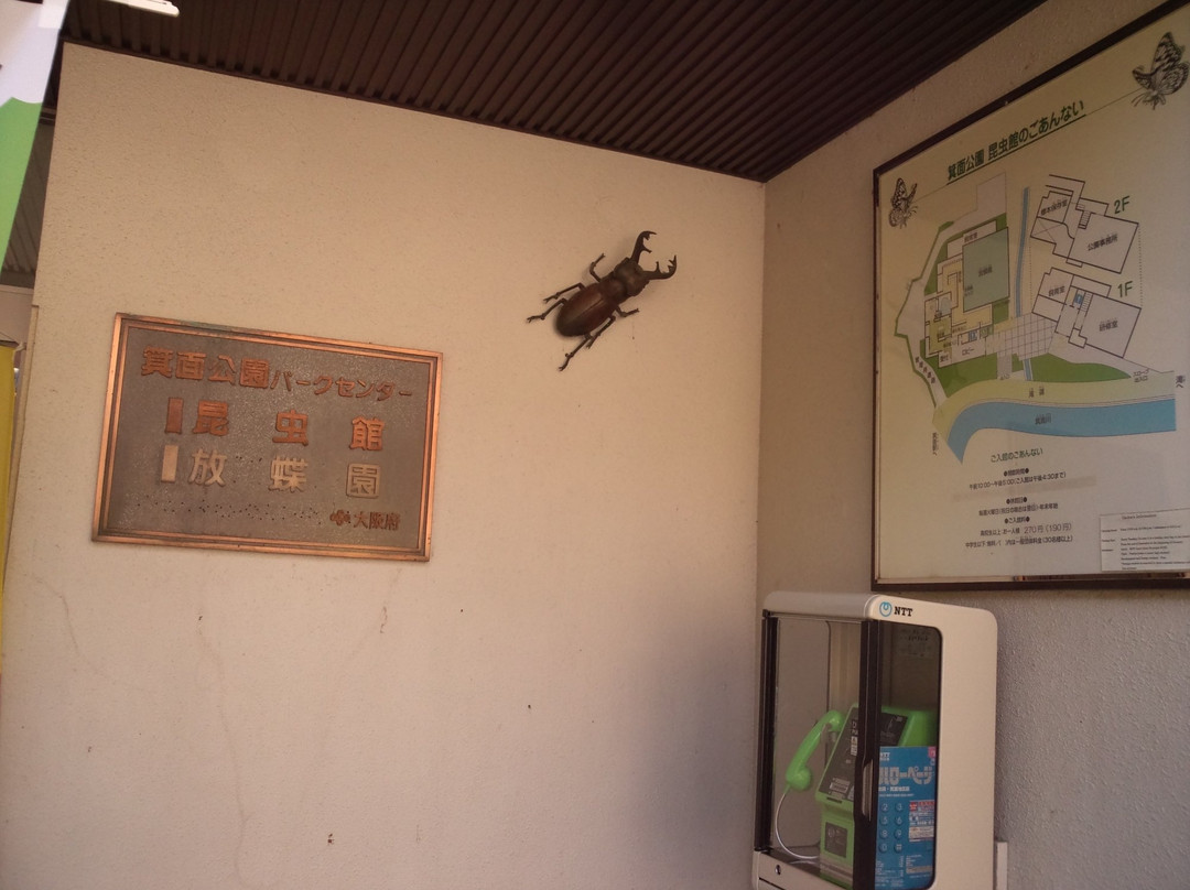 Mino Park Museum of Insects-美浓市必去景点