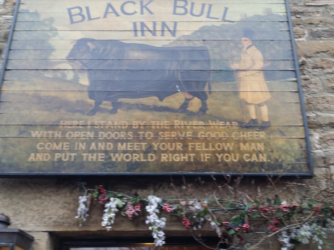 Black Bull Inn-Frosterley必去景点