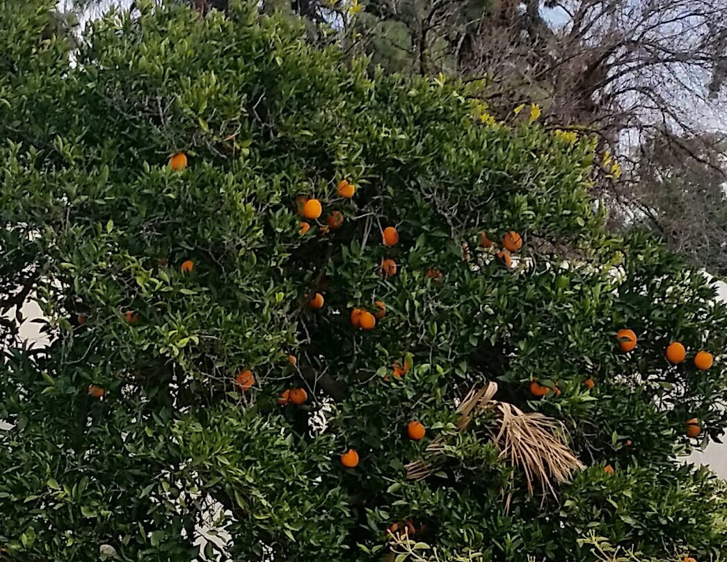 Prospect Park-雷德兰兹必去景点