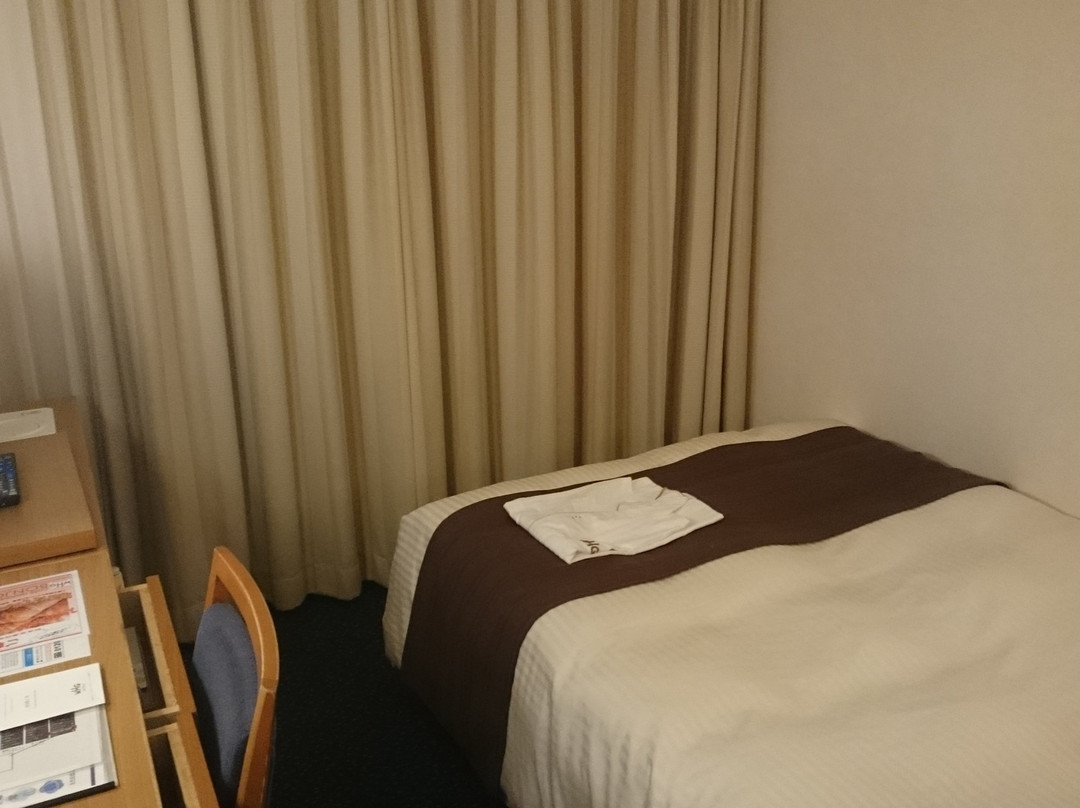 Iwaki Washington Hotel主图
