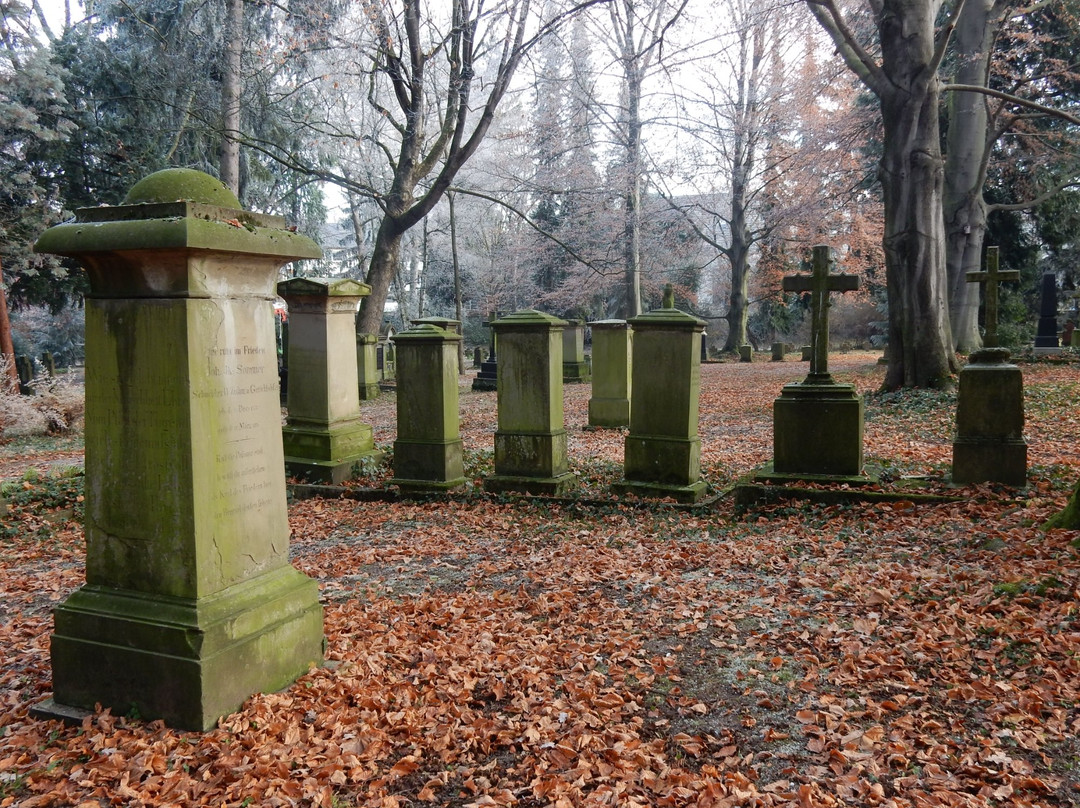 Alter Friedhof景点图片