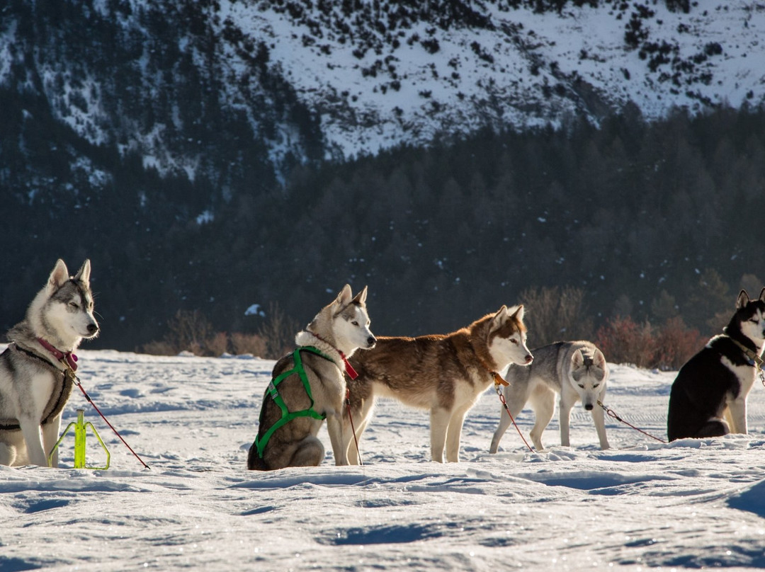 L'Attribut Rando Private Day Tours-Nevache必去景点