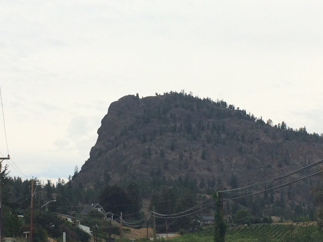 Wine Valley Tours-基洛纳必去景点