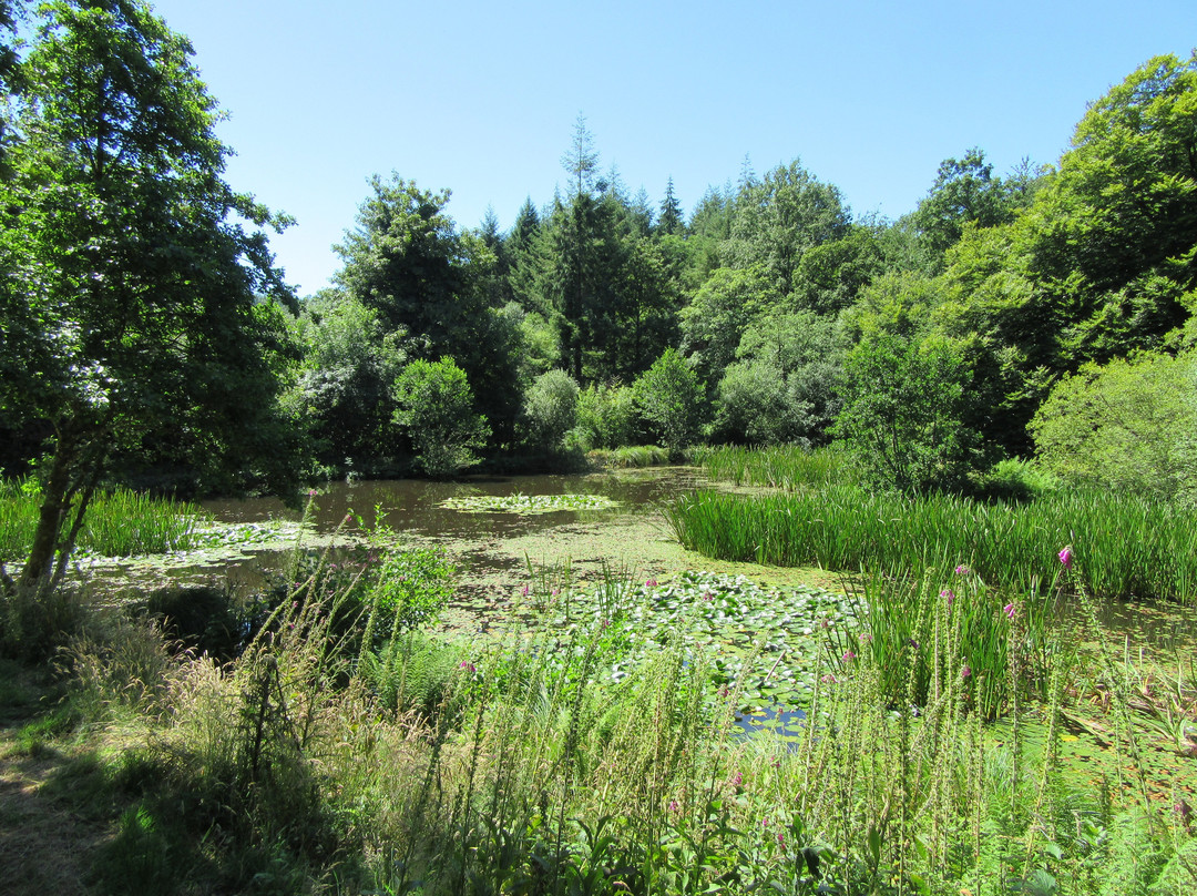 Offwell旅游攻略图片