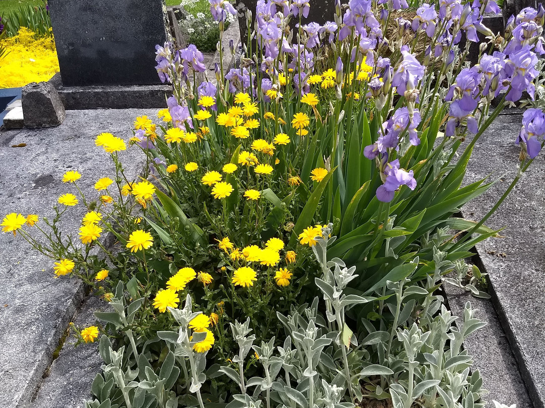 Te Henui Cemetery-新普利默斯必去景点