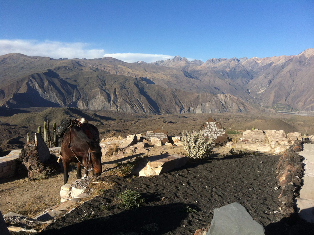 Colca Horse El Herraje-Yanque必去景点