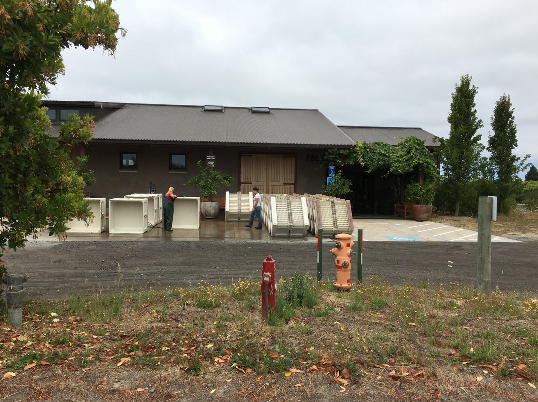 Littorai Winery景点图片
