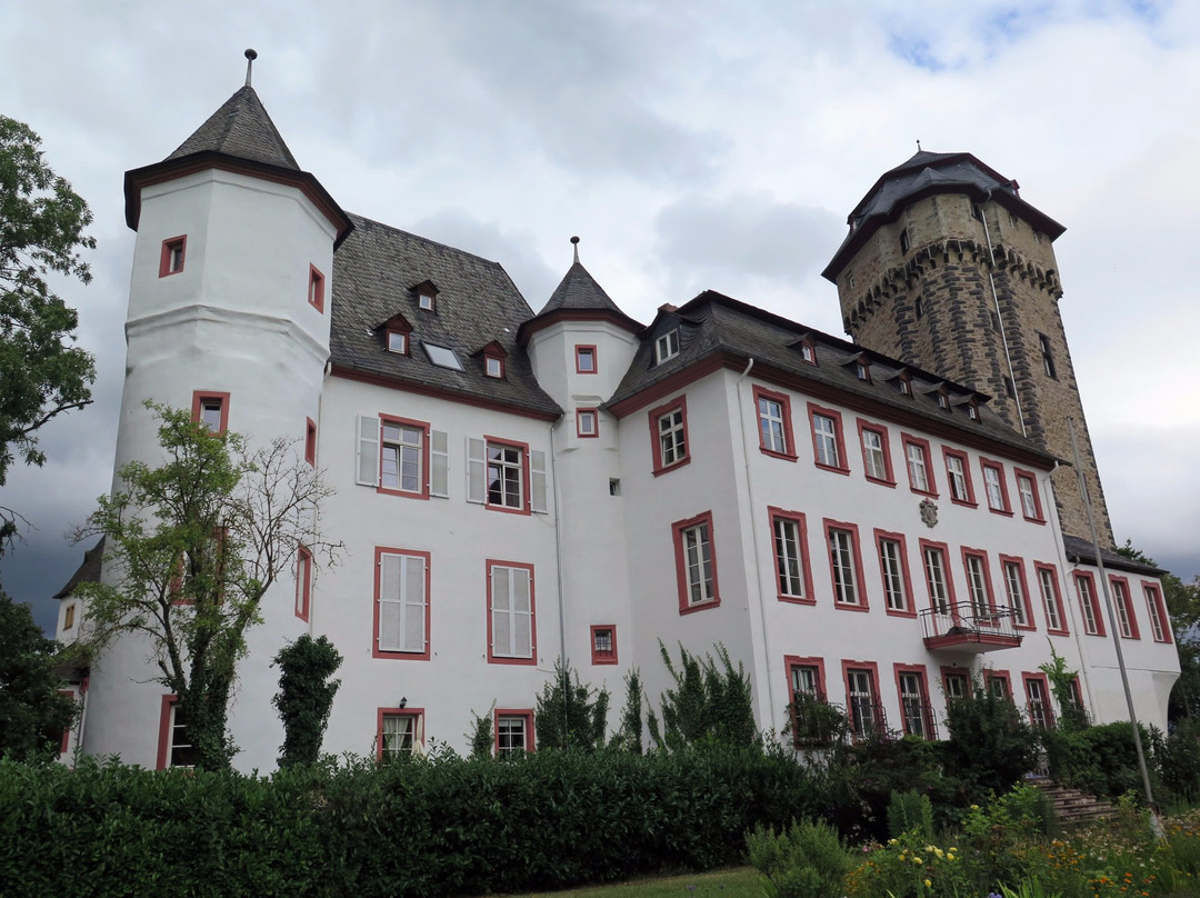 Schloss Martinsburg景点图片