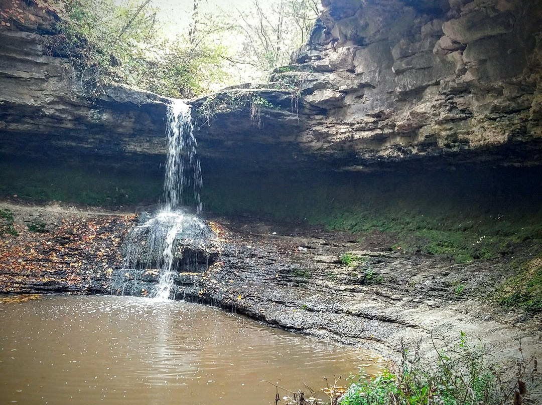 Rezina旅游攻略图片