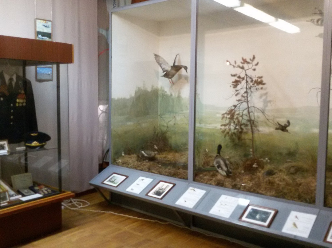 Museum of Historical and Regional Studies of Lodeynoe Pole景点图片