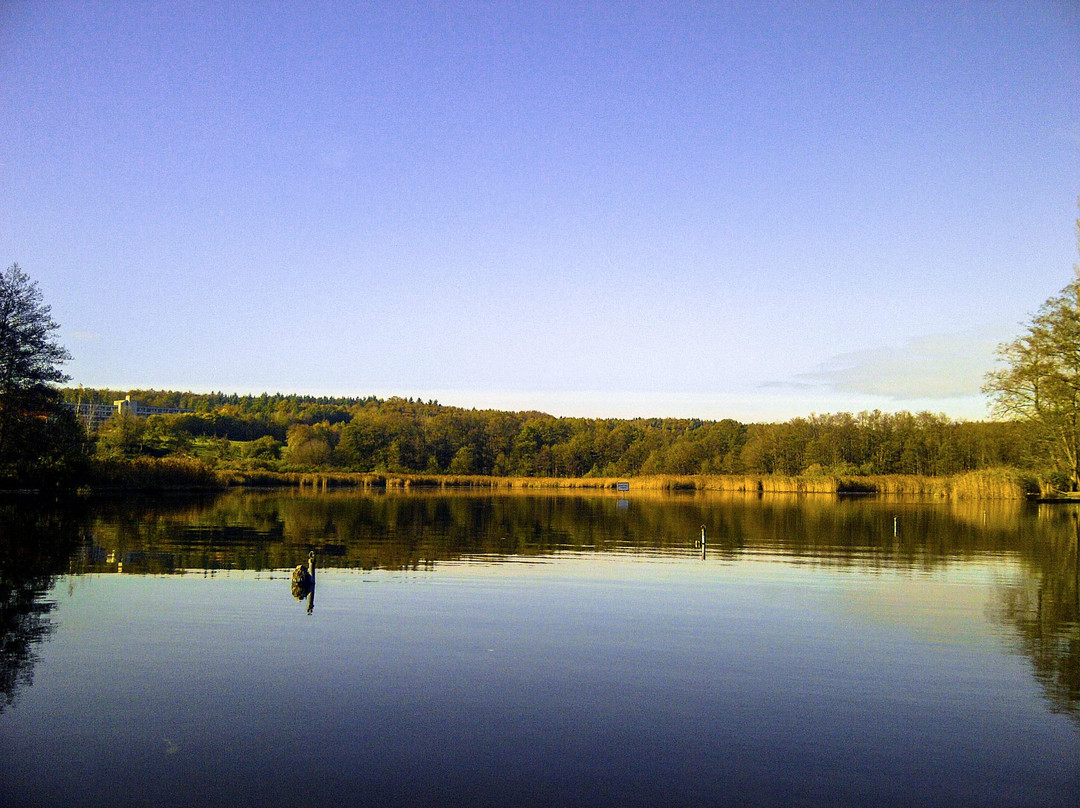 Naturfreibad Zellersee景点图片