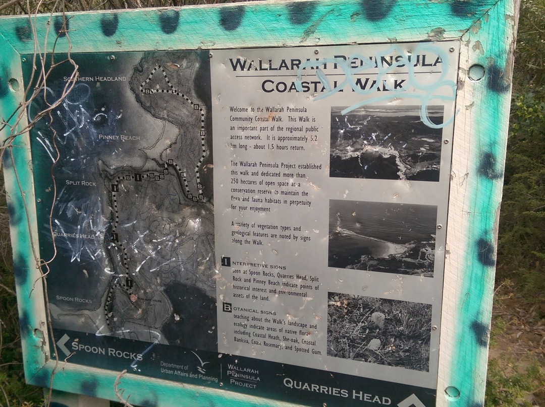 Wallarah National Park景点图片