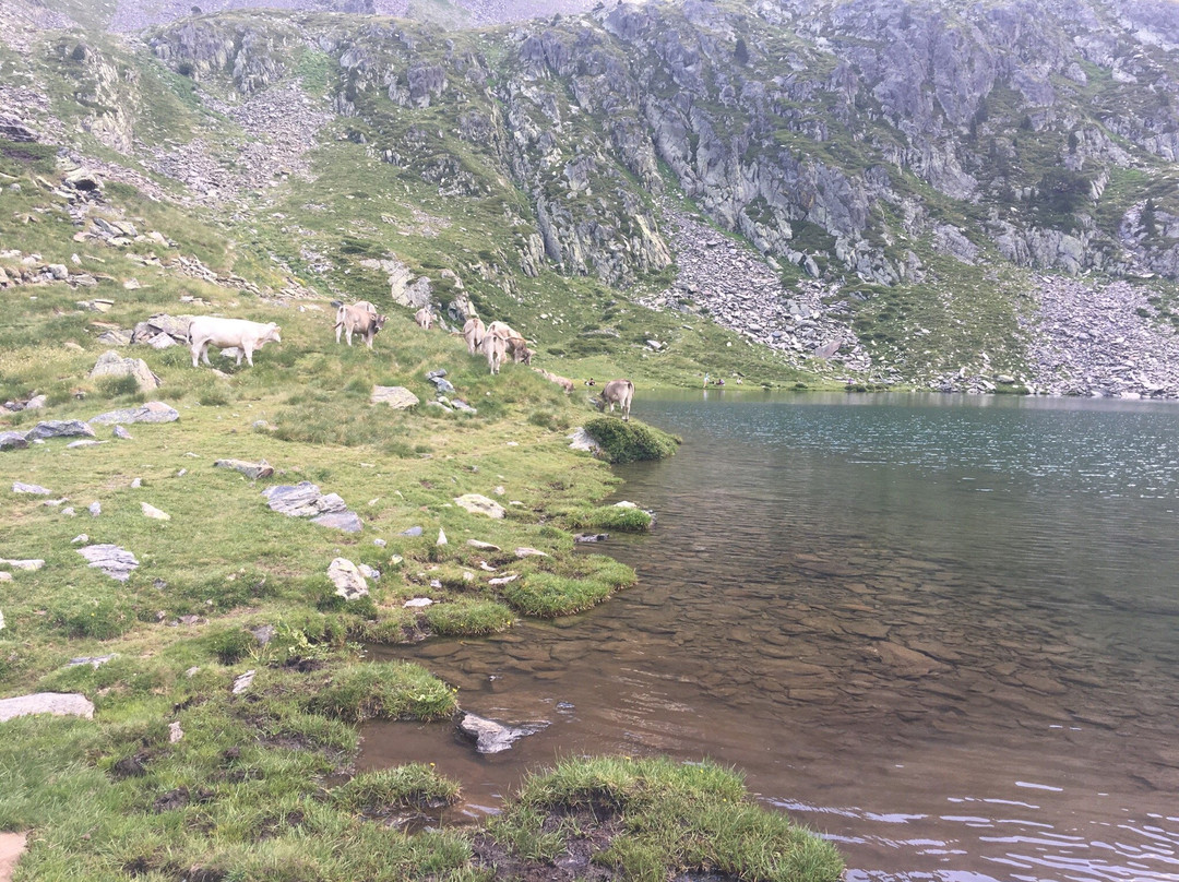 Estany de l'Estanyo-Ordino必去景点