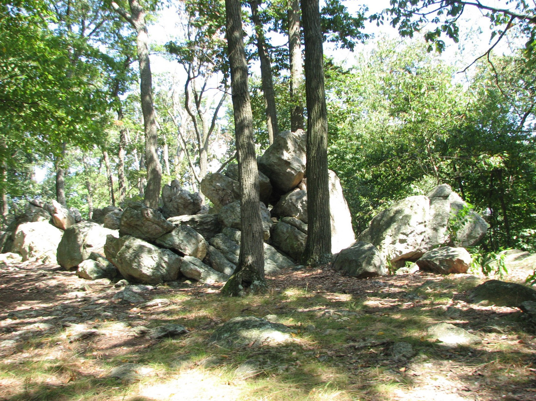 Samuel S. Lewis State Park景点图片