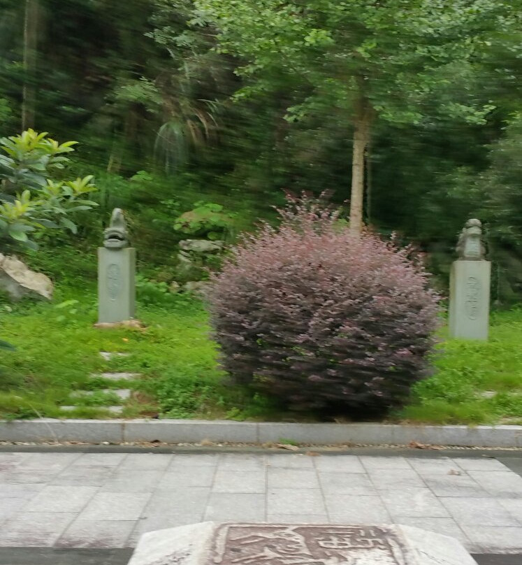 丽水千丝岩-青田县必去景点