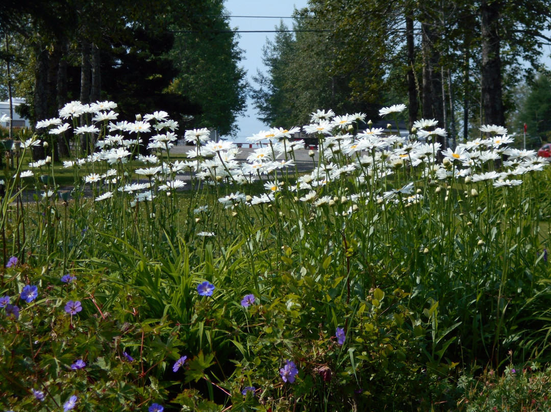 Au Jaune Soleil主图