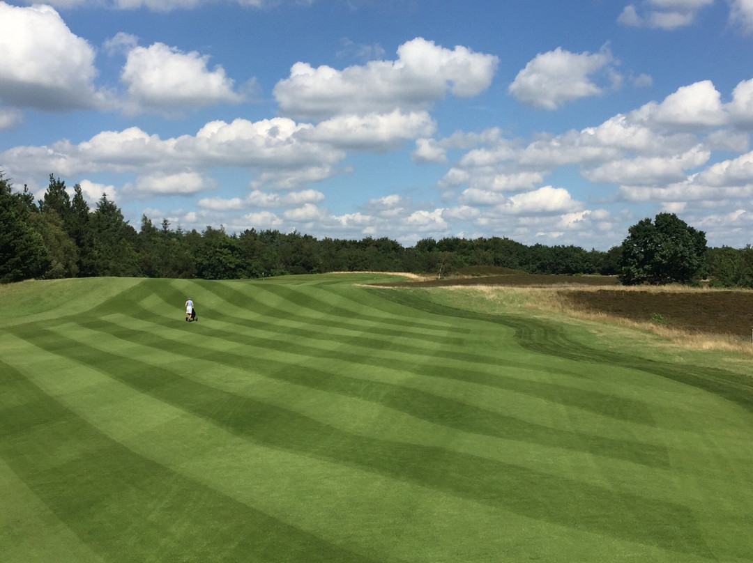 Esbjerg Golf Club景点图片