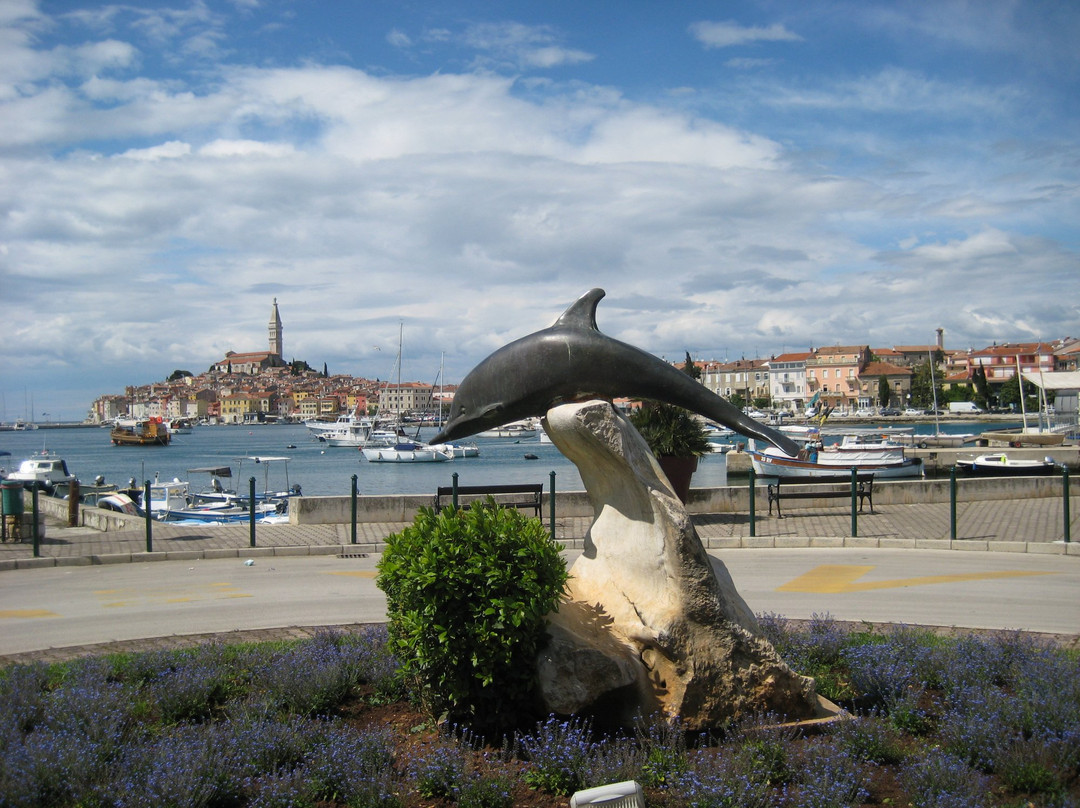 Delfin-szobor景点图片