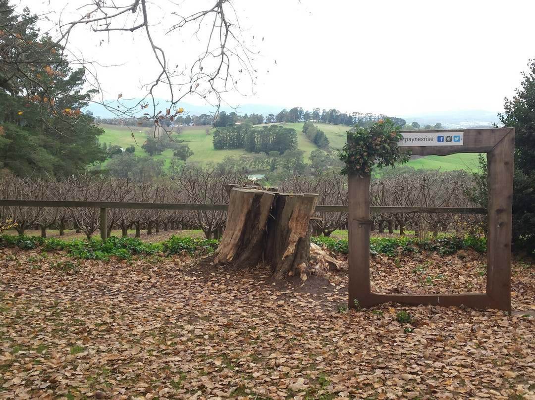 Payne's Rise-Seville必去景点