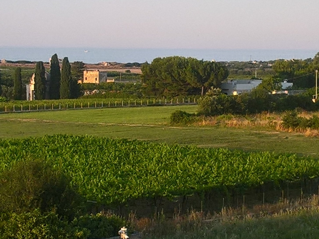 Casina Mangialagane