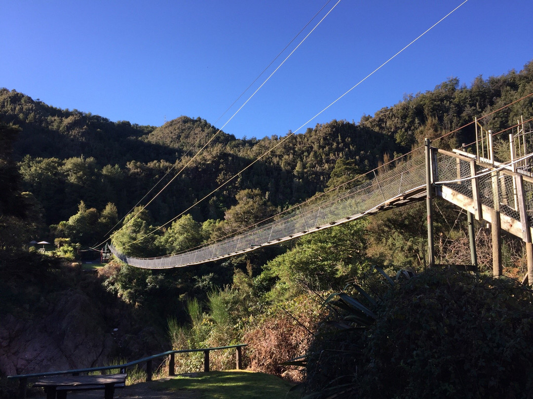 Buller Gorge Swingbridge Ltd景点图片