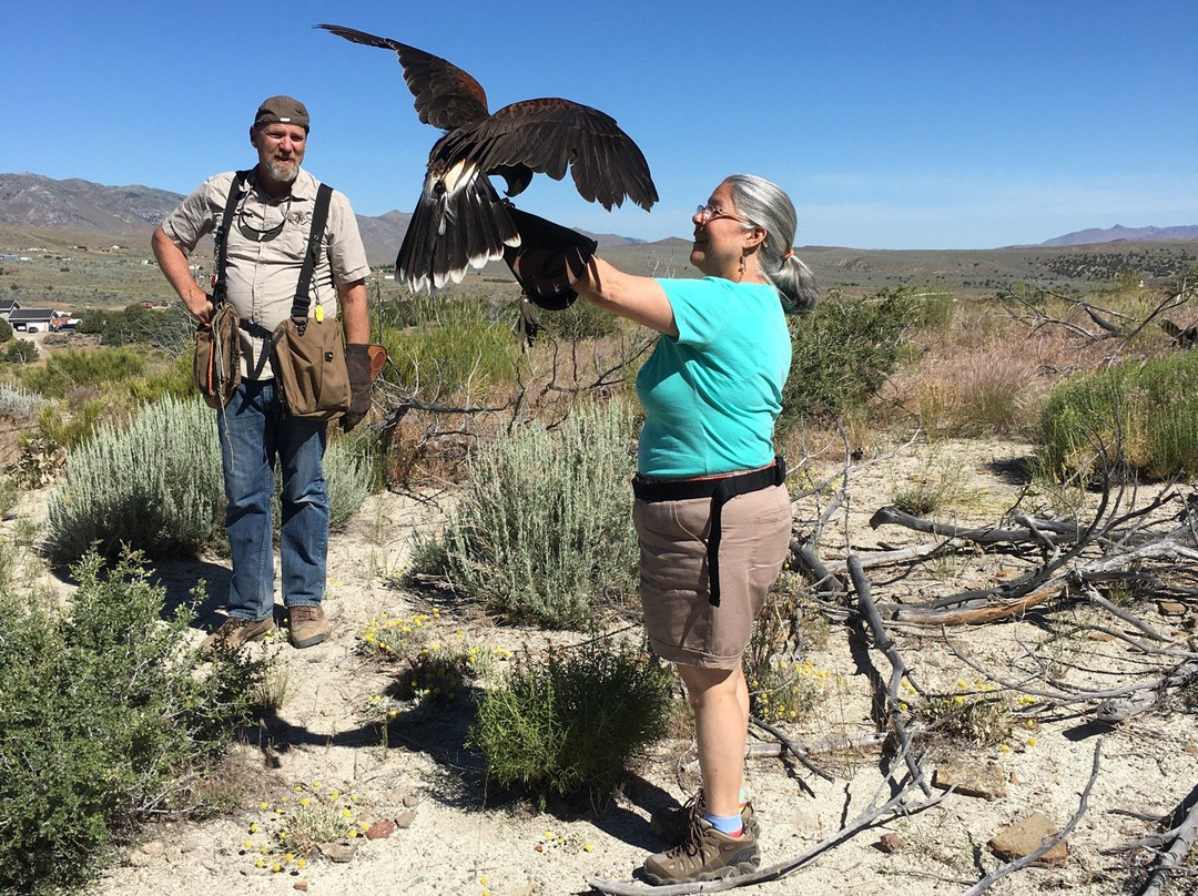 Raptor Adventures-里诺必去景点