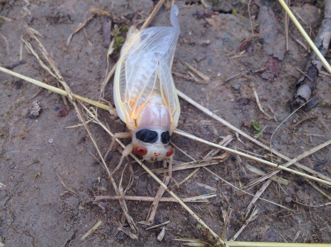 Cedar Creek State Park-Glenville必去景点