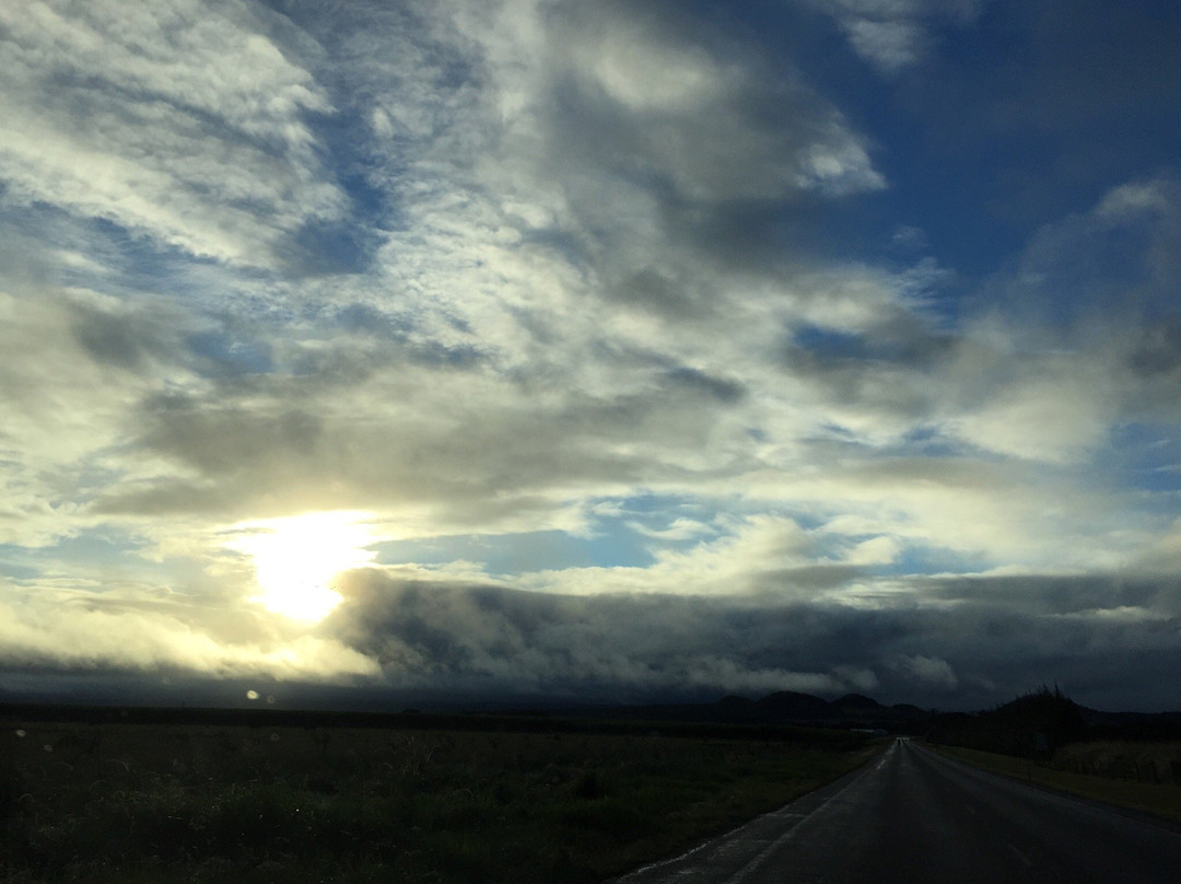 Tait's Wongabel Stables- 阿瑟顿必去景点