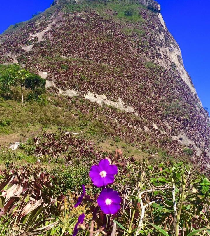 Pedra do Garrafao-Santa Maria De Jetiba必去景点
