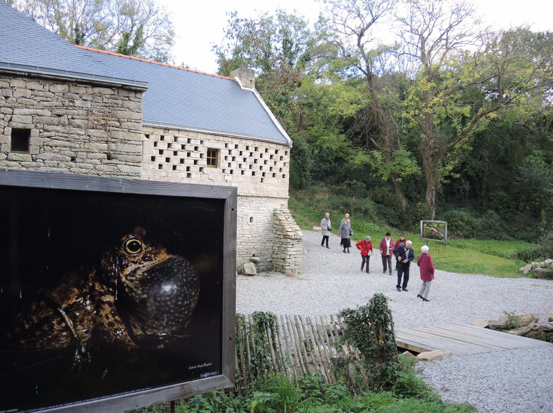 Moulins de Treouzien景点图片