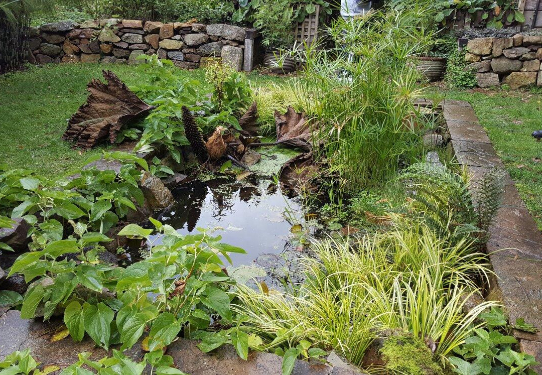 The Garden of St Erth-Blackwood必去景点