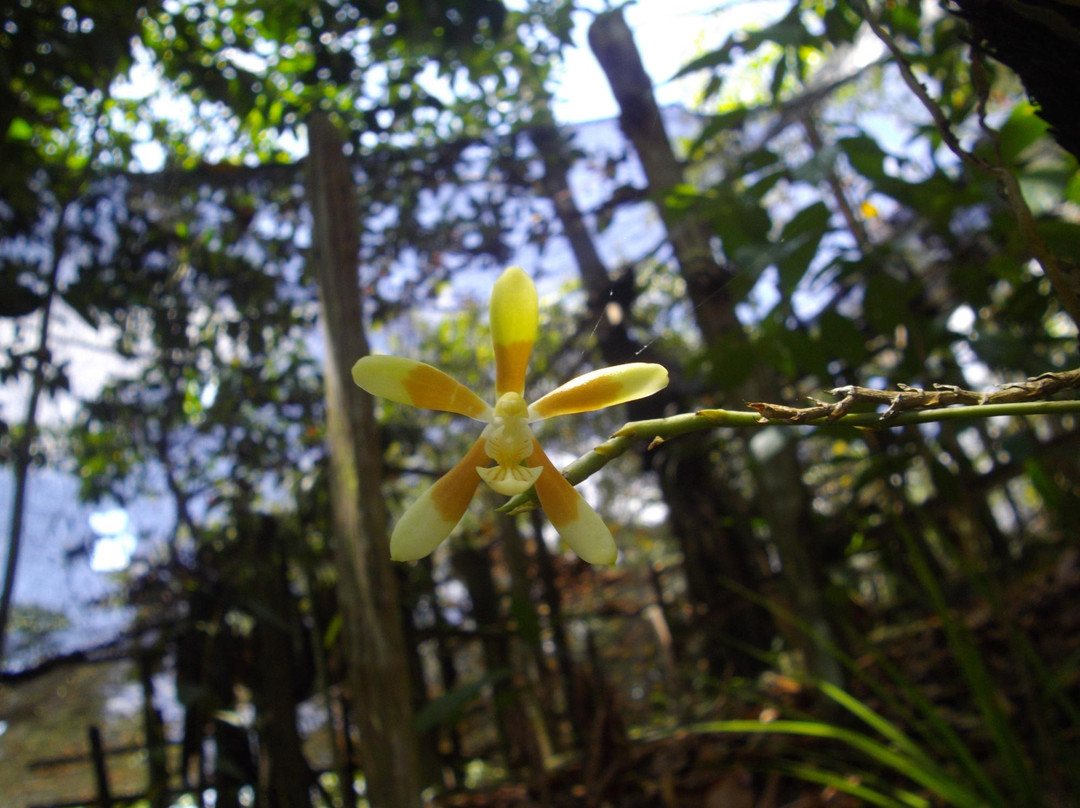 富境花庄-亚庇必去景点
