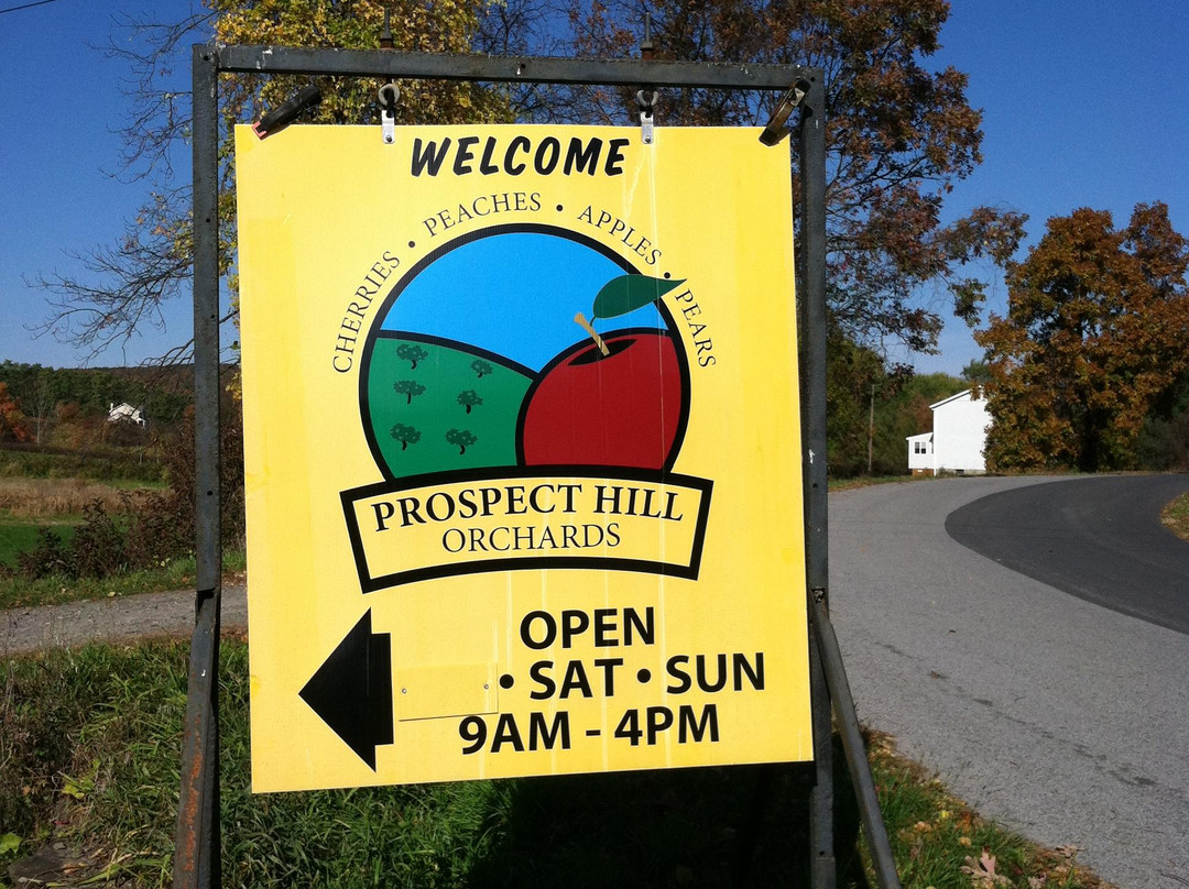 Prospect Hill Orchards景点图片