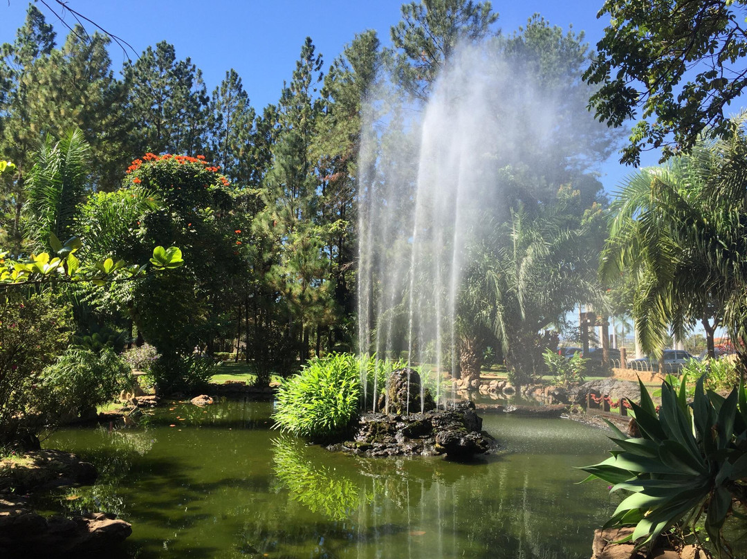 Caldas Novas旅游景点-Jardim Japonês