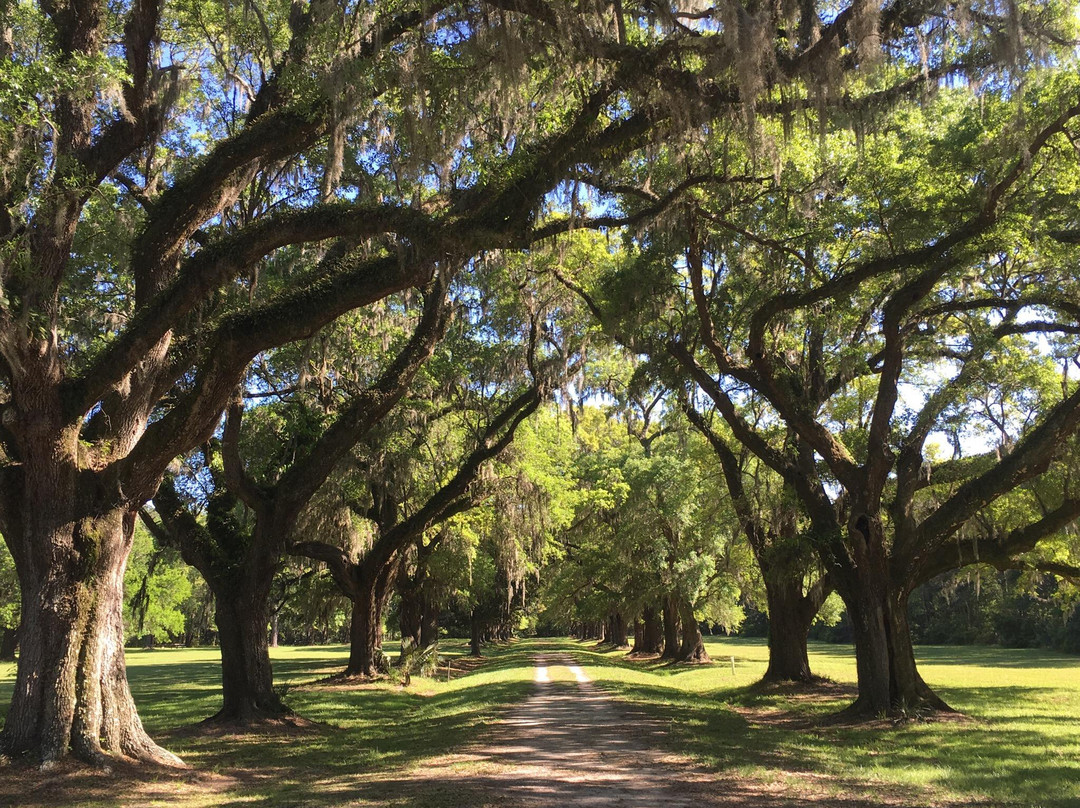 Laurel Hill County Park景点图片