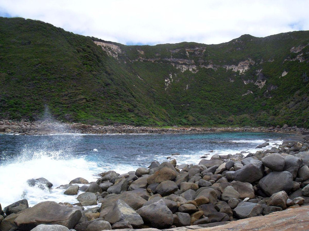 Jimmy Newells Harbour-奥尔巴尼必去景点