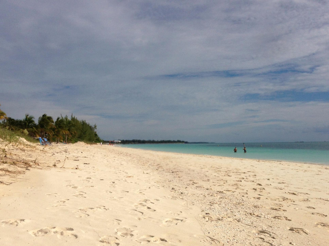 Silver Point Reef-弗里波特必去景点