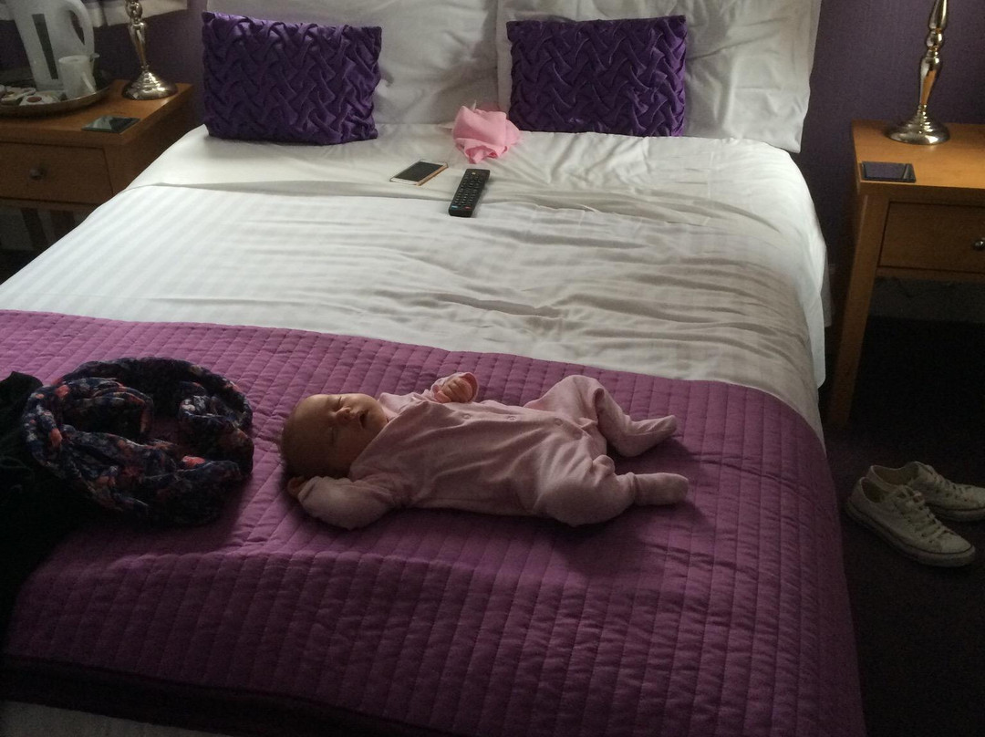 Lauren House B&B, Dumfries主图